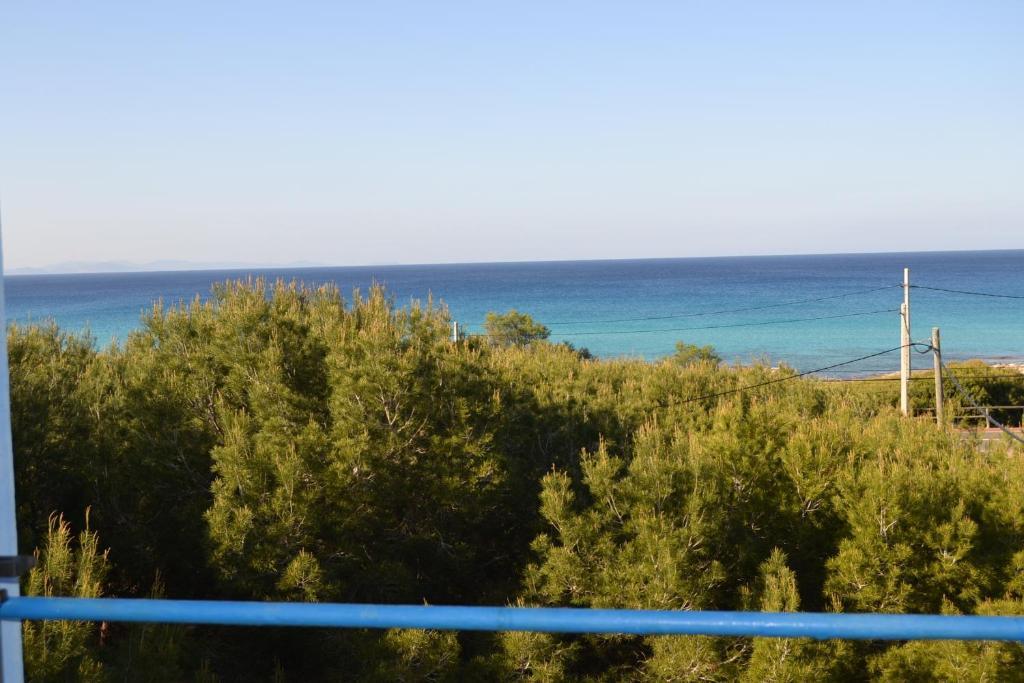 Apartamentos Cas Xurrac เอสกาโล ห้อง รูปภาพ